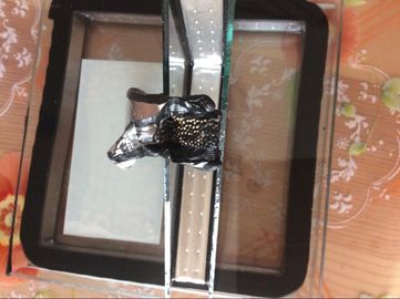 Dual Seal Warm Edge Sealing Strip
